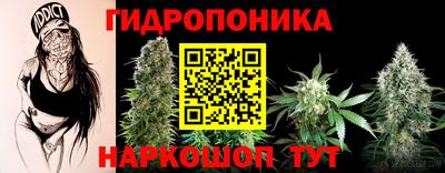 марки nbome Кингисепп
